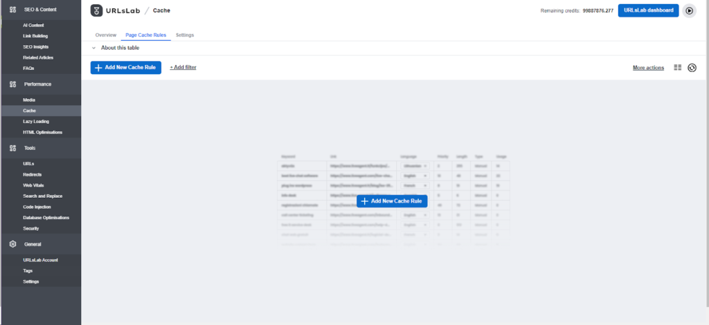 Setting up a new cache rule in URLsLab